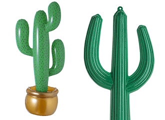 Cactussen