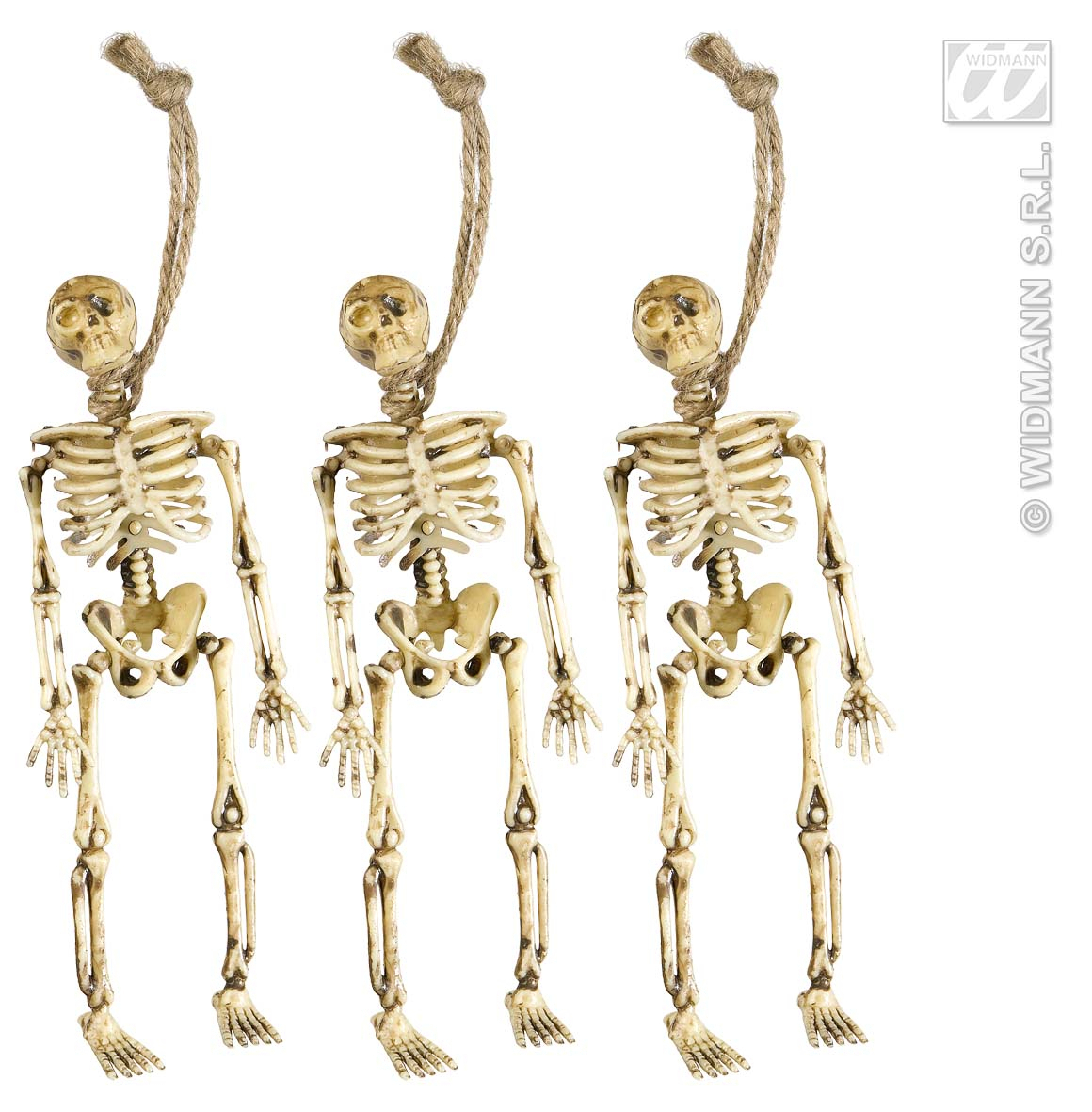 Skeletjes 15 Centimeter