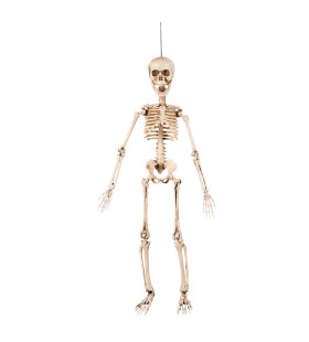 Hangdecoratie Mr Skeleton