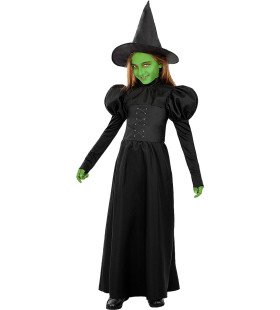 Wicked Witch Heksenpak The Wizard Of Oz Meisje Kostuum