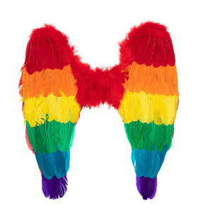 Fly Pride To The Rainbow And Back Vleugels