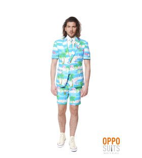 Summer Festival Miami Flaminguy Opposuits Man Kostuum