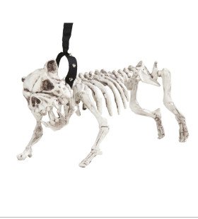 Horror Huisdier Skelet Hond Met Riem, 45 Centimeter