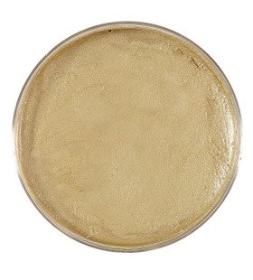 Make-Up In 25 Gram Bakje, Goud