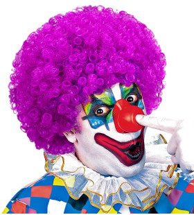 Afro Clownpruik Krullen, Paars