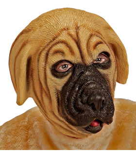 Cartoony Masker, Bulldog