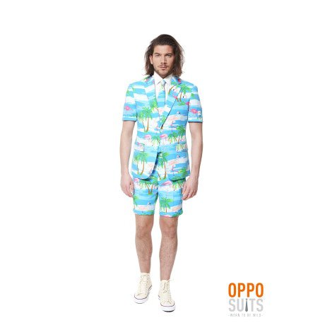 Summer Festival Miami Flaminguy Opposuits Man Kostuum