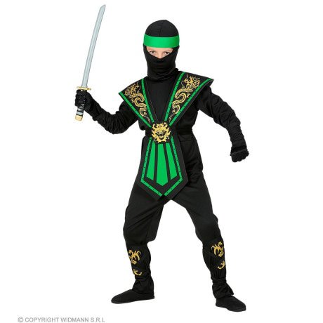 Gevreesde Draken Ninja Groen Kind Jongen Kostuum