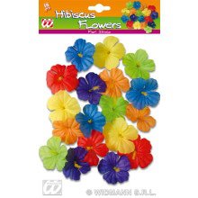 Set Van 18 Hibiscus Bloemen