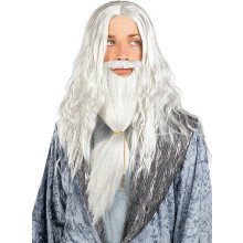 Tovenaar Dumbledore Pruik Met Baard