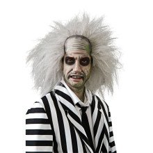 Beetlejuice Pruik Gekke Ontplofte Professor