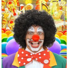 Pruik, Clown Zwart