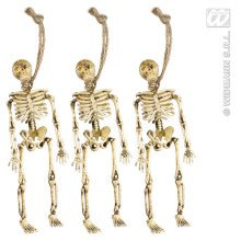 Skeletjes 15 Centimeter