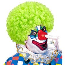 Afro Clownpruik Krullen, Groen