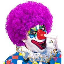 Afro Clownpruik Krullen, Paars