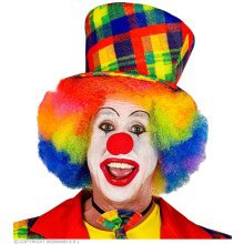 Kleurige Hoed Clown Geblokt